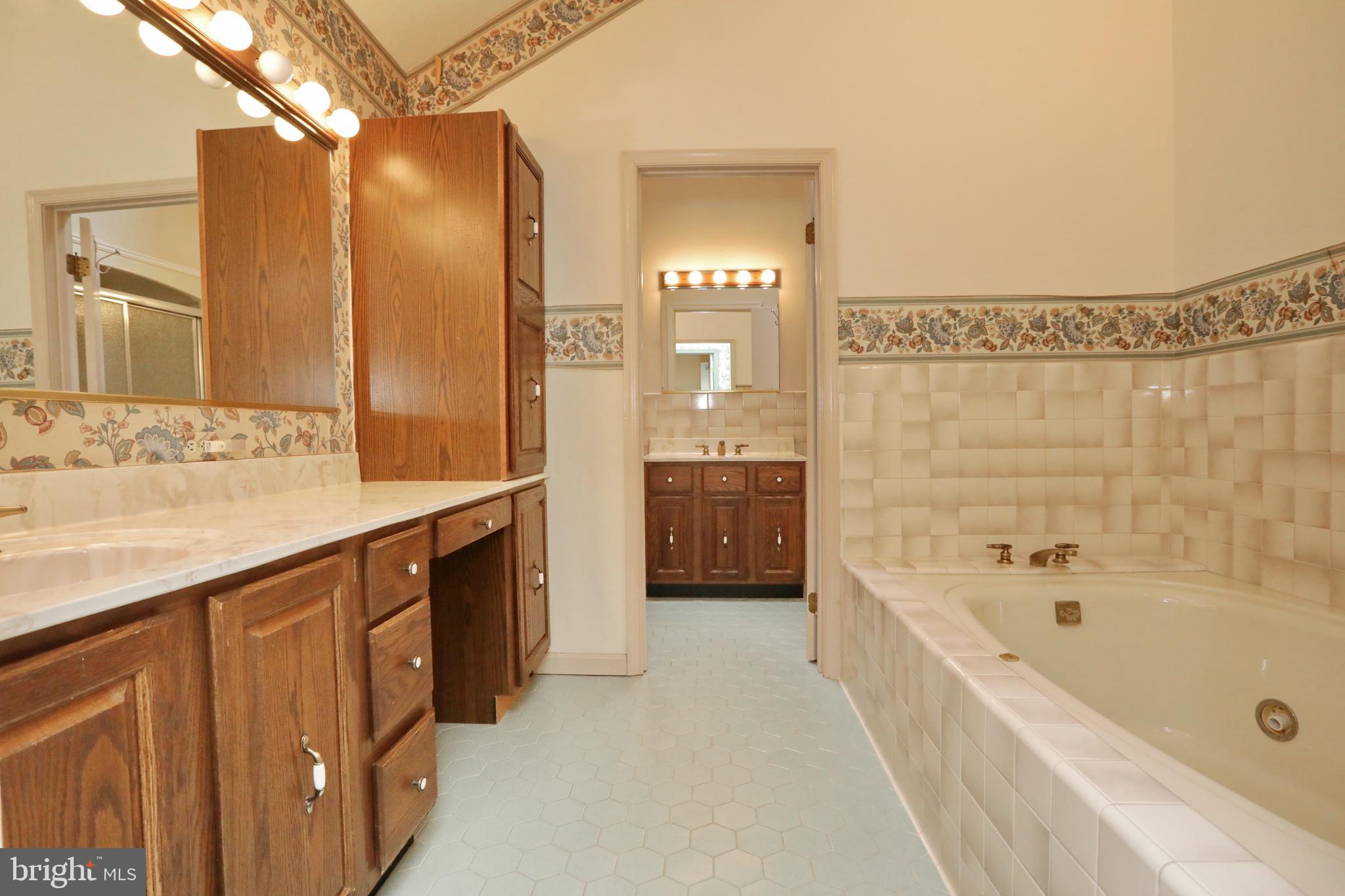 9154 Preference Drive La Plata, MD 20646 - Photo 42 of 65 Primary bath