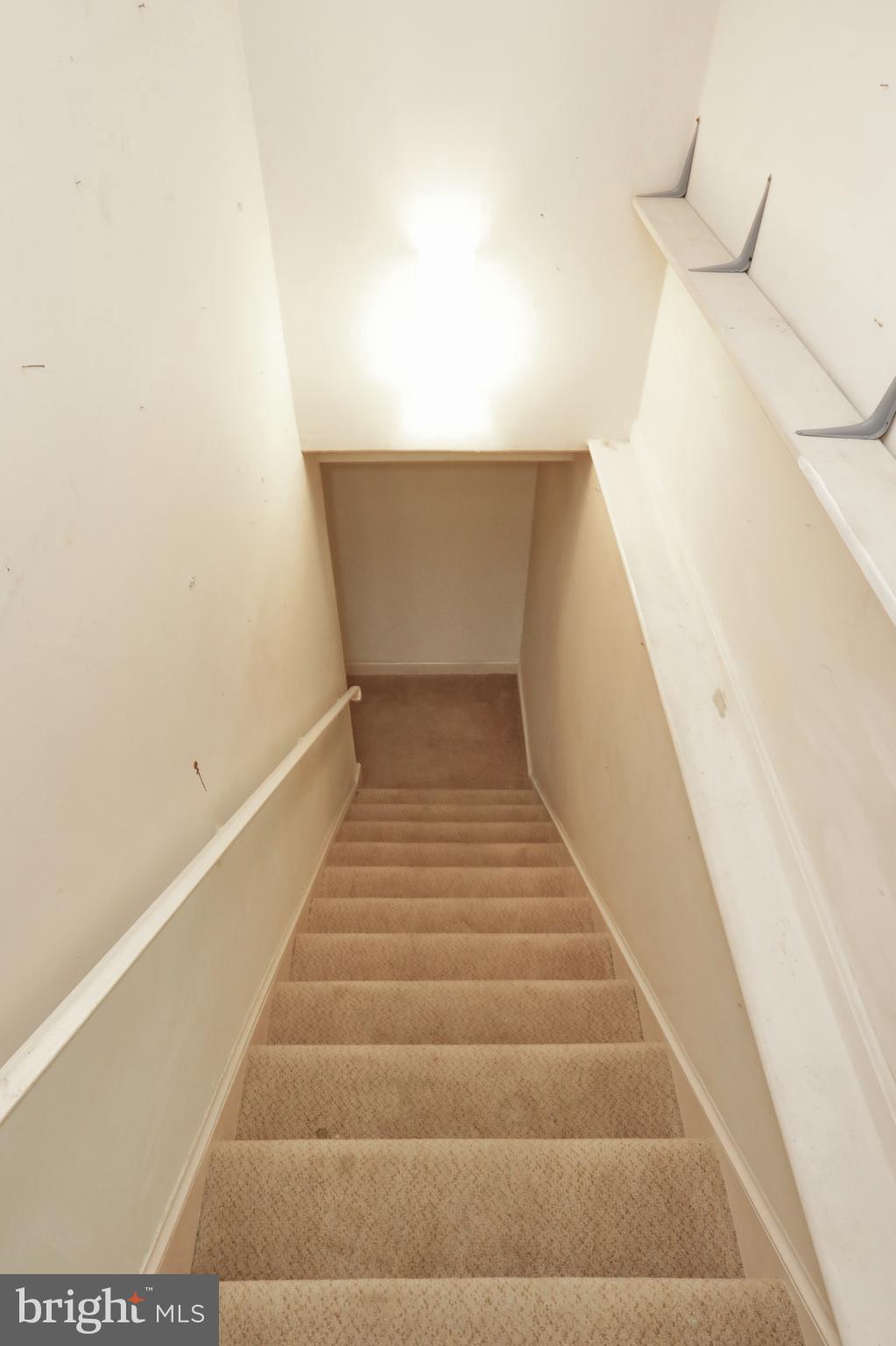 9154 Preference Drive La Plata, MD 20646 - Photo 45 of 65 Carpeted steps to basement from foyer