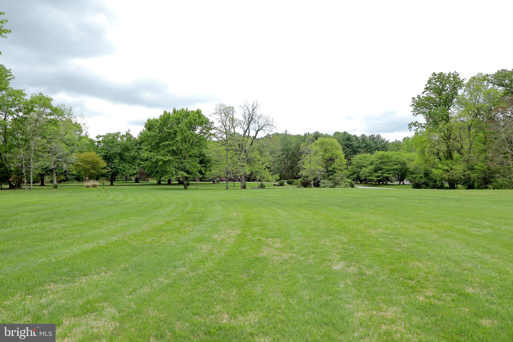 9154 Preference Drive La Plata, MD 20646 - Photo 6 of 65 Side yard
