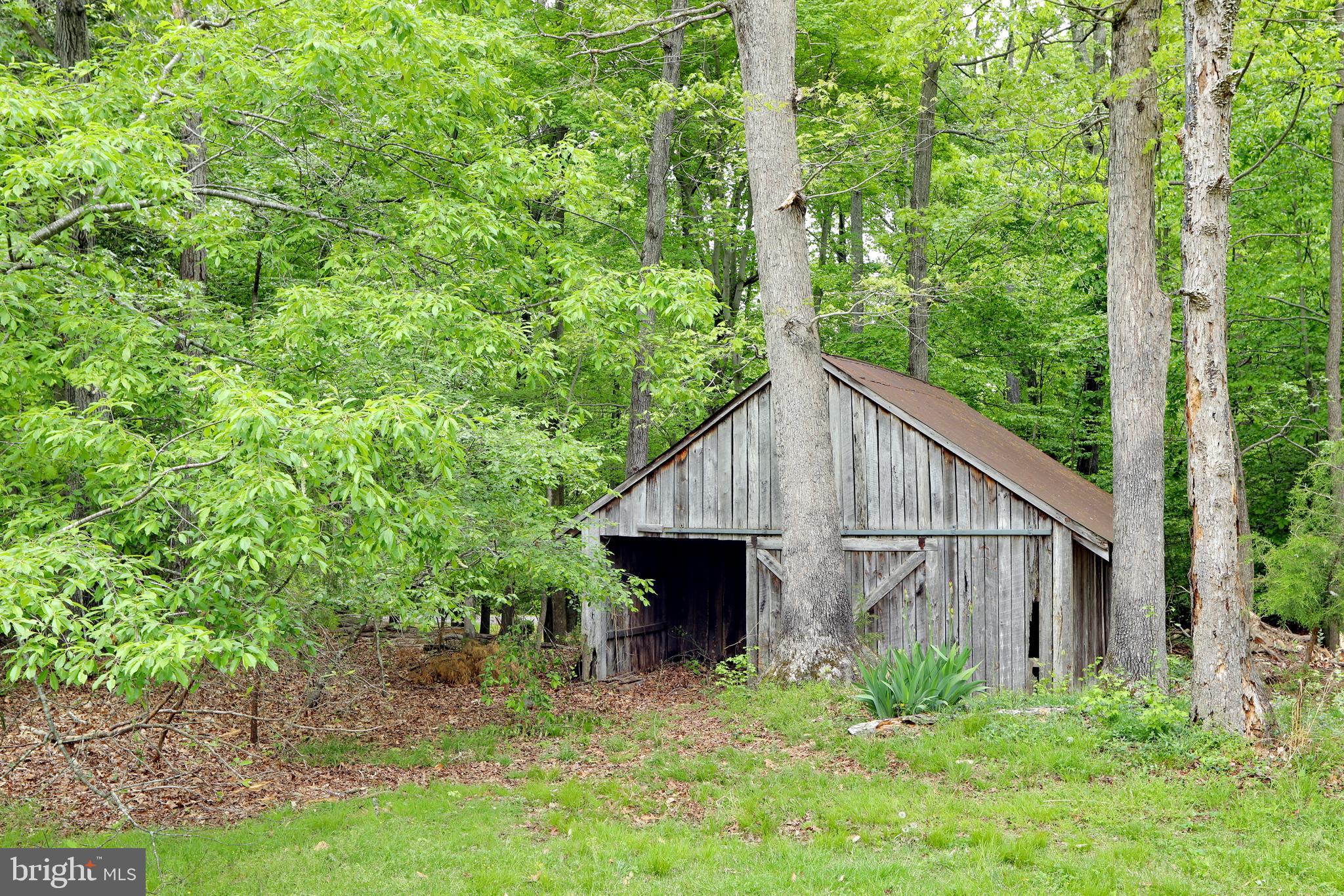 9154 Preference Drive La Plata, MD 20646 - Photo 61 of 65 Large shed/barn