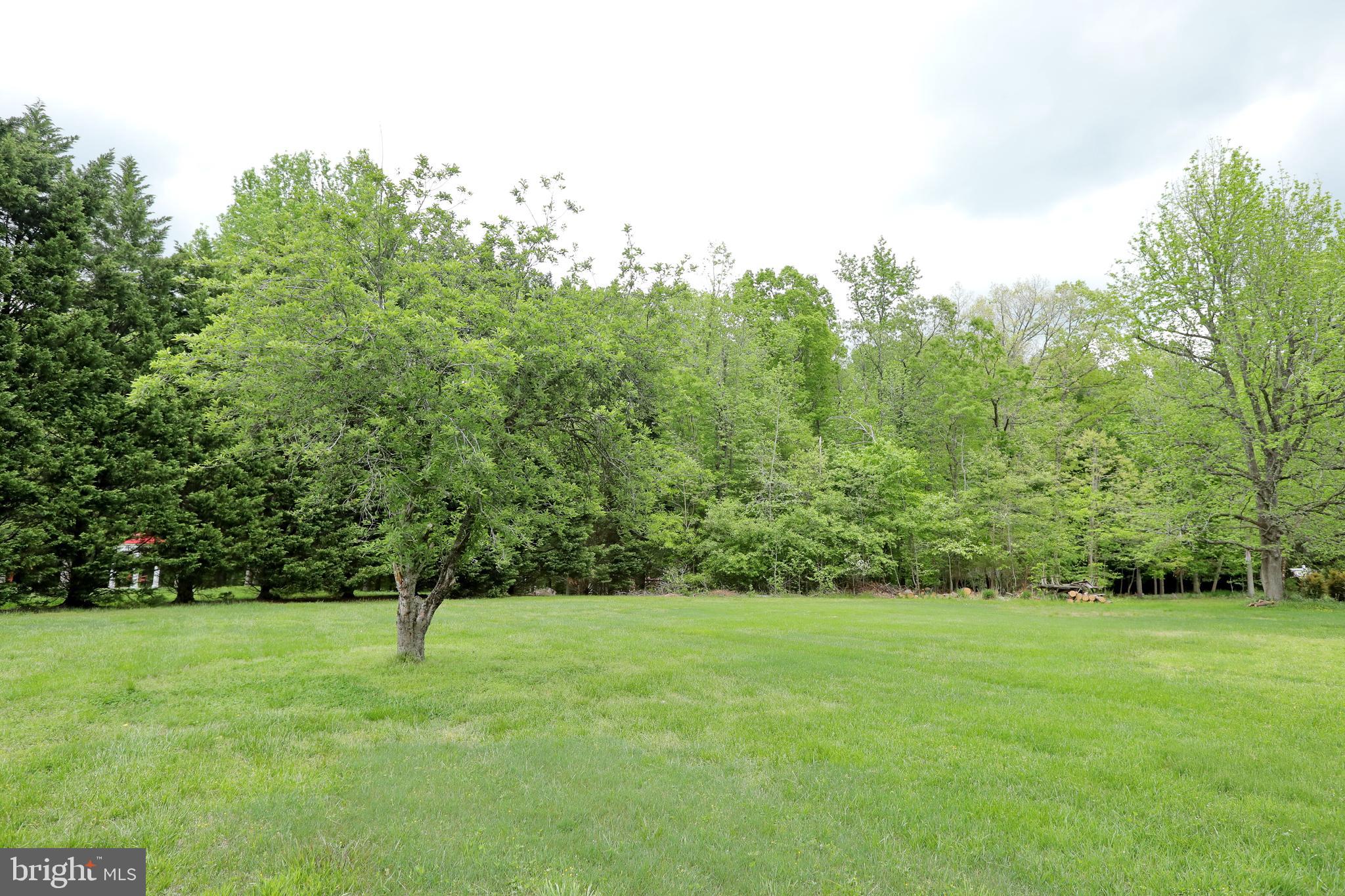 9154 Preference Drive La Plata, MD 20646 - Photo 7 of 65 Side yard