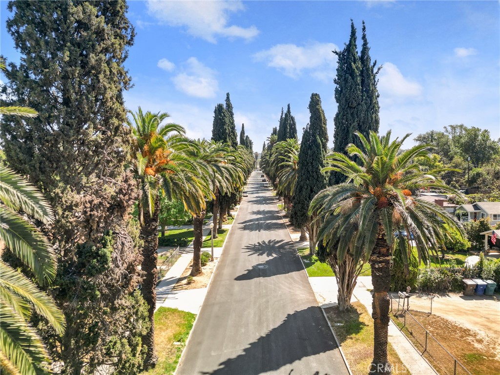 4390 Edgewood Place Riverside, CA 92506 - Photo 32 of 32 a view of a palm trees in front of a building