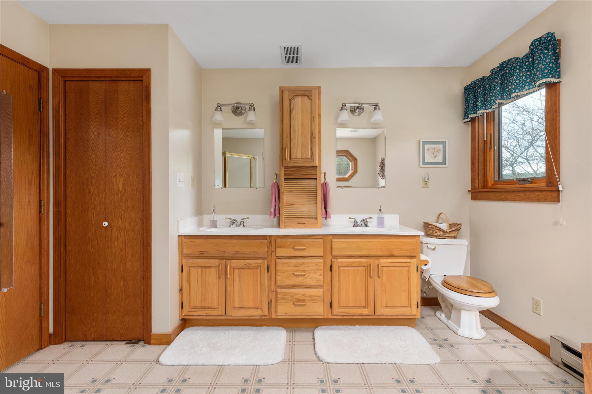 272 Buster Brown Drive Rio, WV 26755 - Photo 39 of 113 Master Bathroom
