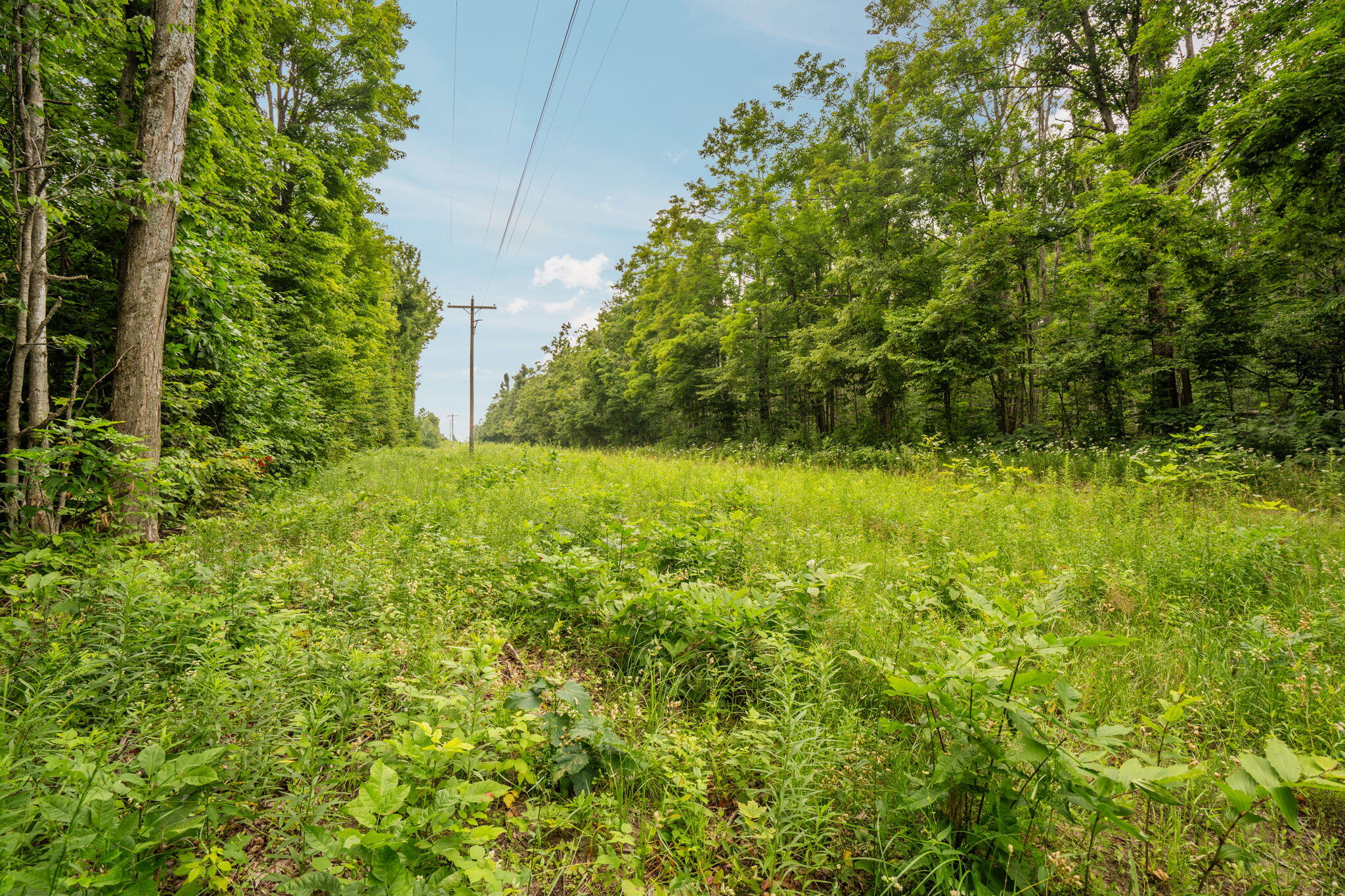 Dunham Road Vanderbilt, MI 49795 - Photo 29 of 31 Gallery Image 29