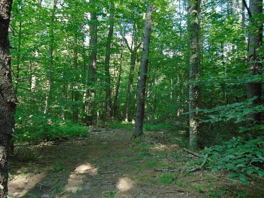 30 Clark Road Sandisfield, MA 01255 - Photo 38 of 41