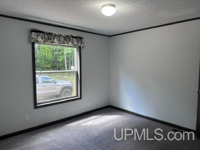 2735 Old County 69 Road Florence, WI 54121 - Photo 10 of 21 Gallery Image 10