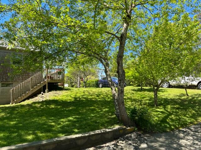 8 Meadow Brook Road Chatham, MA 02650 - Photo 25 of 28 IMG_1111