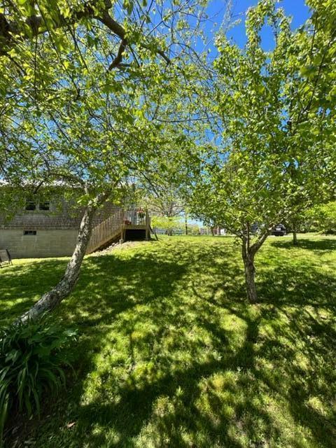 8 Meadow Brook Road Chatham, MA 02650 - Photo 26 of 28 IMG_1112