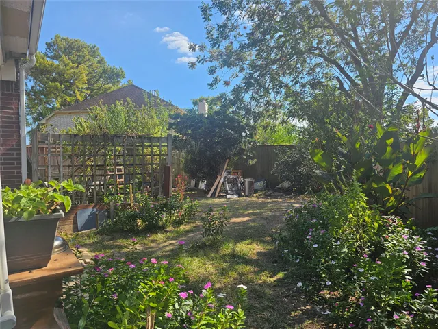 a view of a garden with plants
