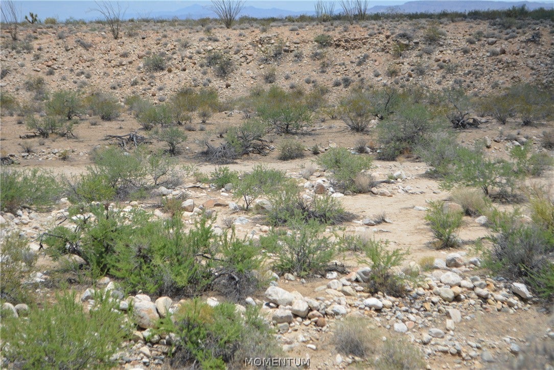 208-24-134 South Cameron Road Yucca, AZ 86438 - Photo 36 of 86 Gallery Image 36