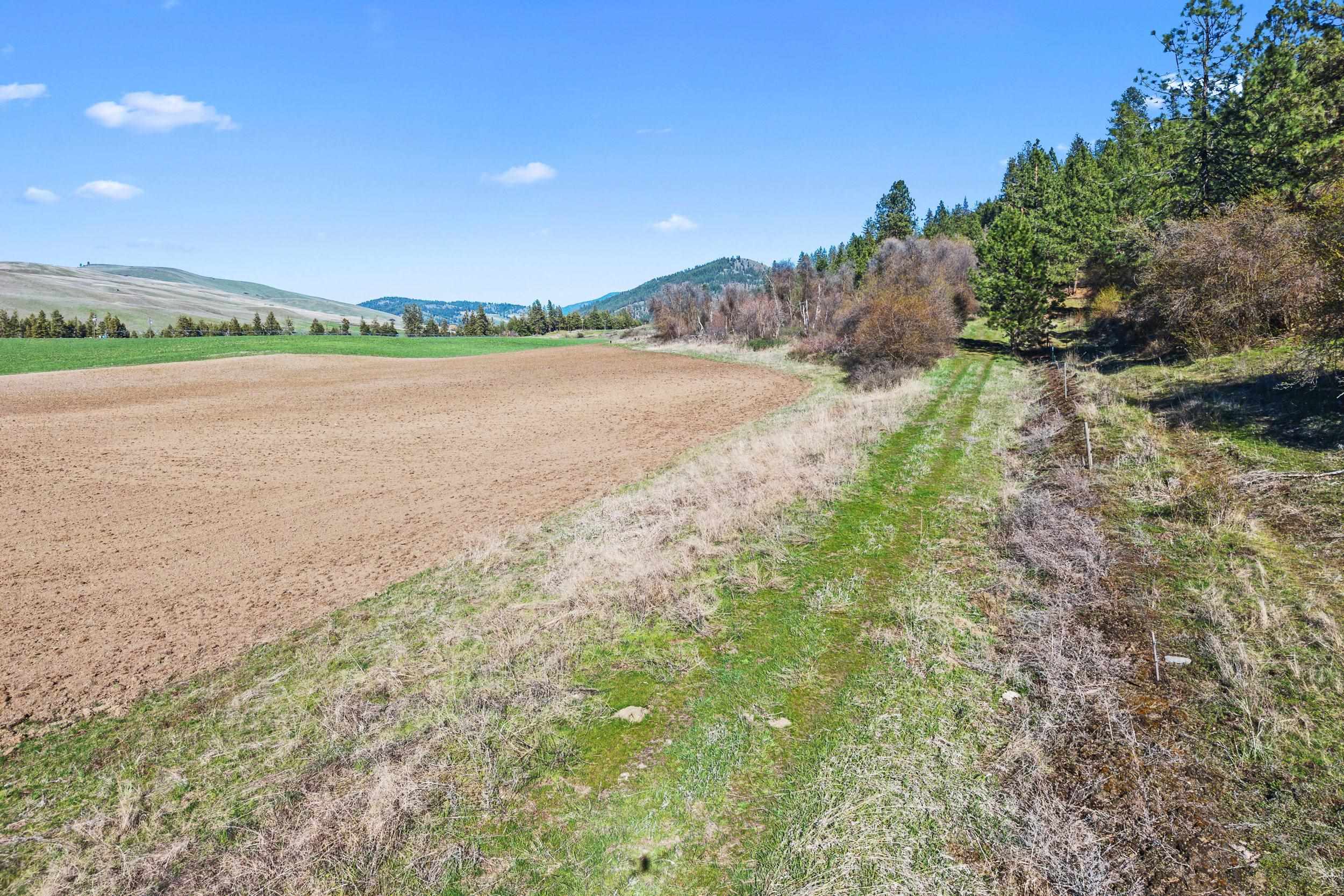 37-xx Cedonia-Addy Road Hunters, WA 99137 - Photo 14 of 15 Gallery Image 14