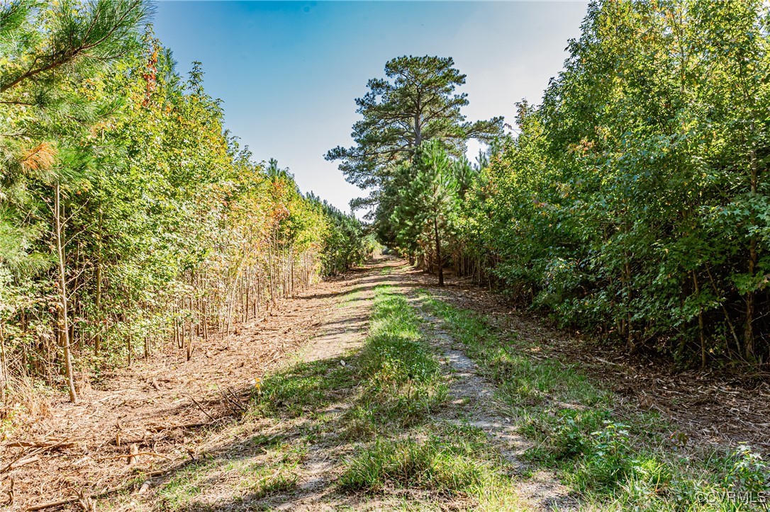 1852 Ocran Road White Stone, VA 22578 - Photo 28 of 50 View of street