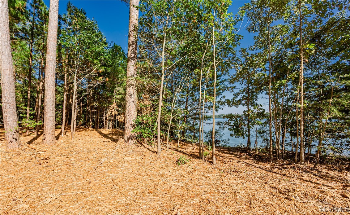 1852 Ocran Road White Stone, VA 22578 - Photo 47 of 50 View of nature