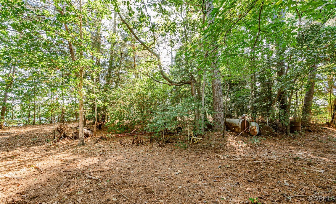 1852 Ocran Road White Stone, VA 22578 - Photo 48 of 50 View of wooded area