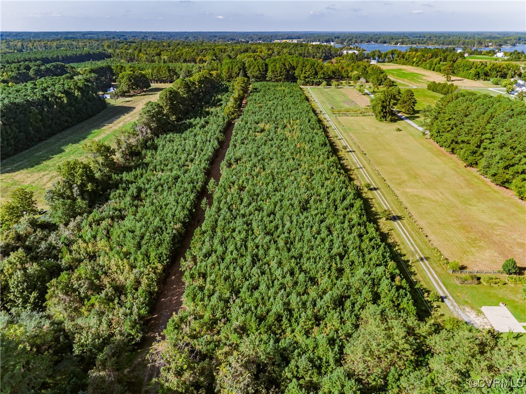 1852 Ocran Road White Stone, VA 22578 - Photo 9 of 50 View of property location featuring a forest and r