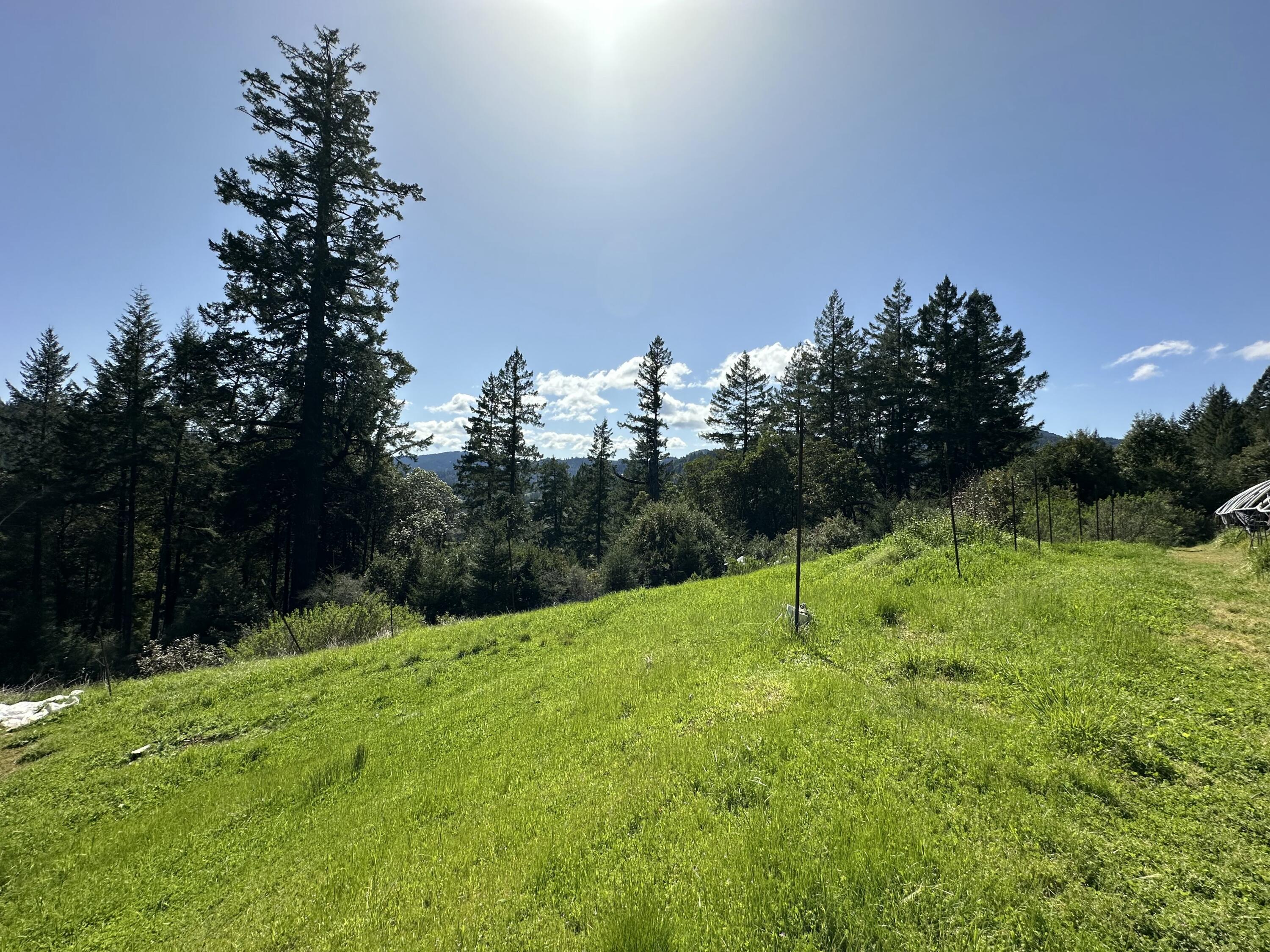 3556 Lower Thomas Road Miranda, CA 95553 - Photo 2 of 49 tempImagezfrIj9