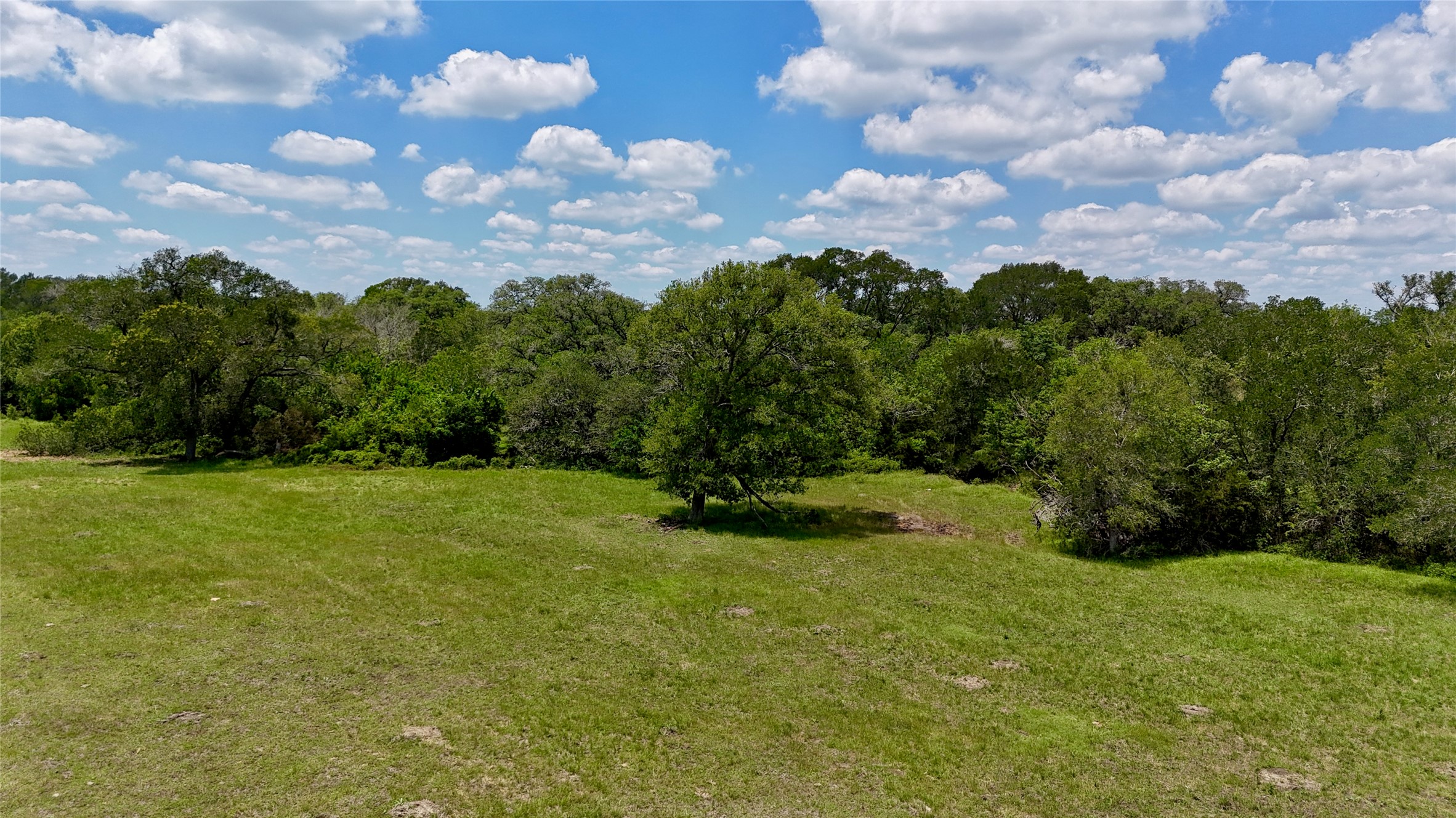 3703 Muehr Road Weimar, TX 78962 - Photo 22 of 29