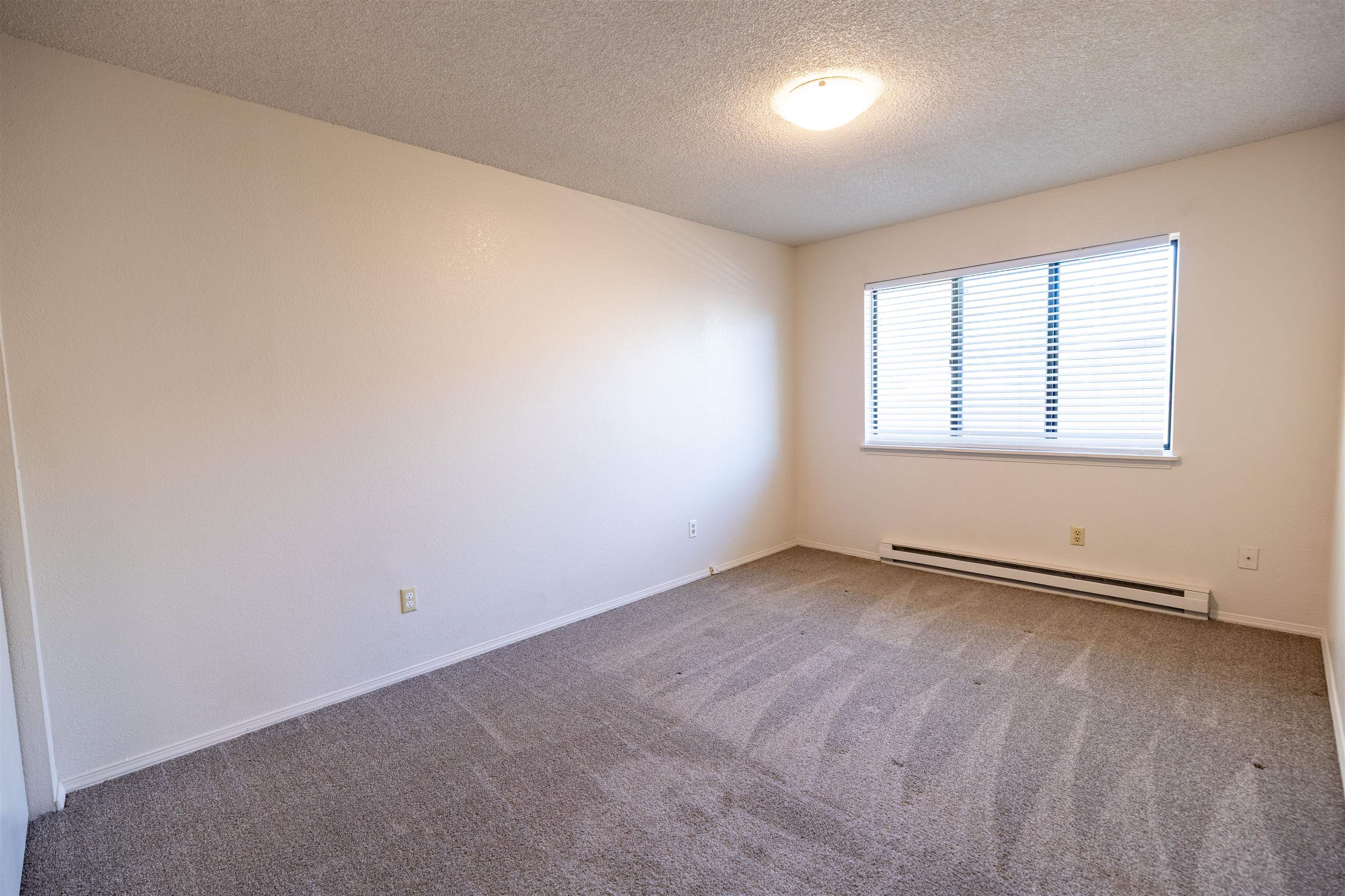 239 South Elm Street, Unit A Fruita, CO 81521 - Photo 15 of 22 an empty room with a window
