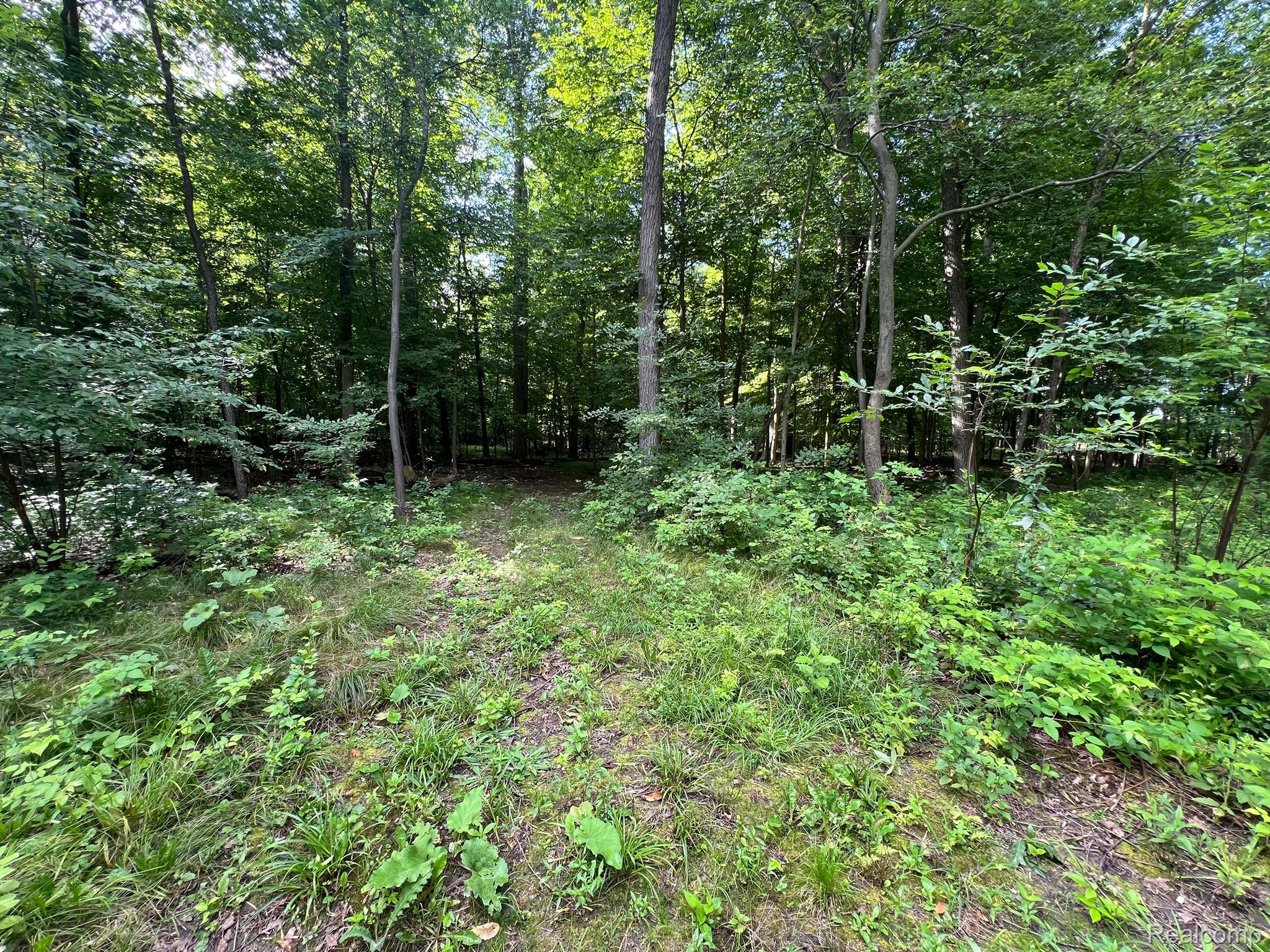 0 North Hadley Road Ortonville, MI 48462 - Photo 10 of 13 Gallery Image 10