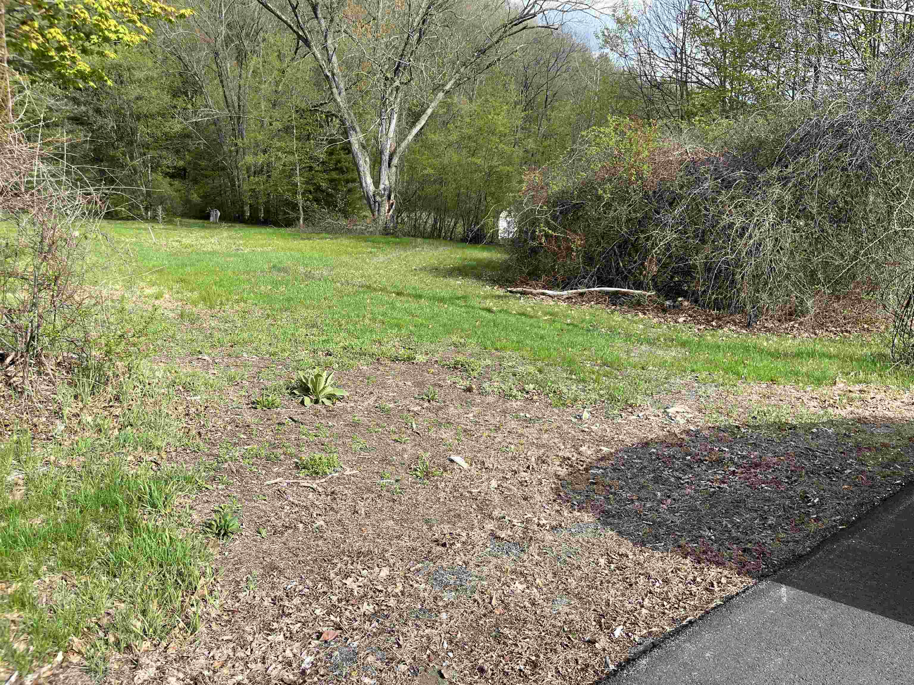 95 Old Church Road Claremont, NH 03743 - Photo 3 of 9