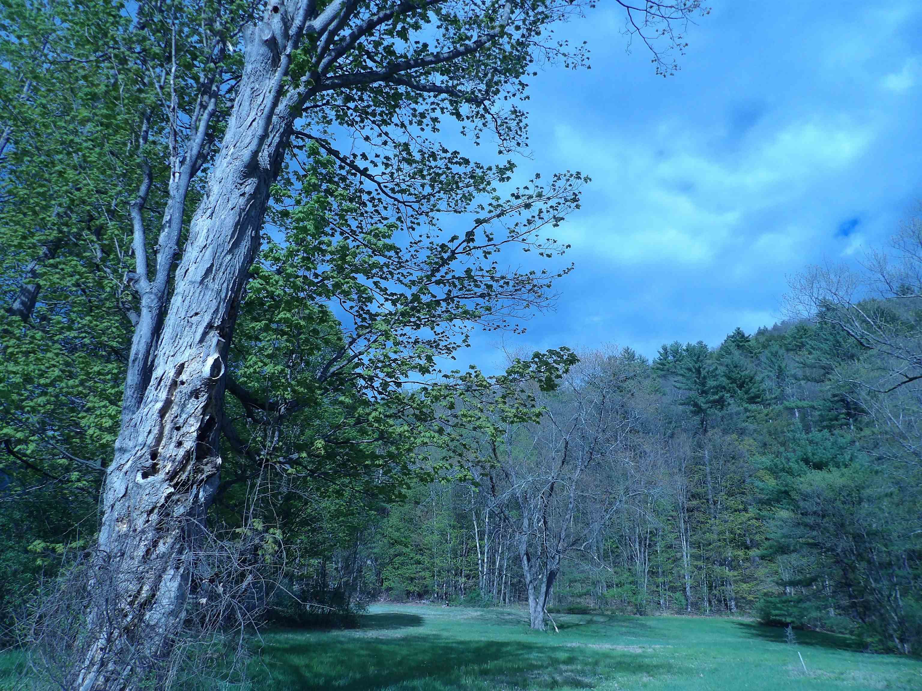 95 Old Church Road Claremont, NH 03743 - Photo 6 of 9