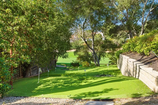 a green field with lots of bushes