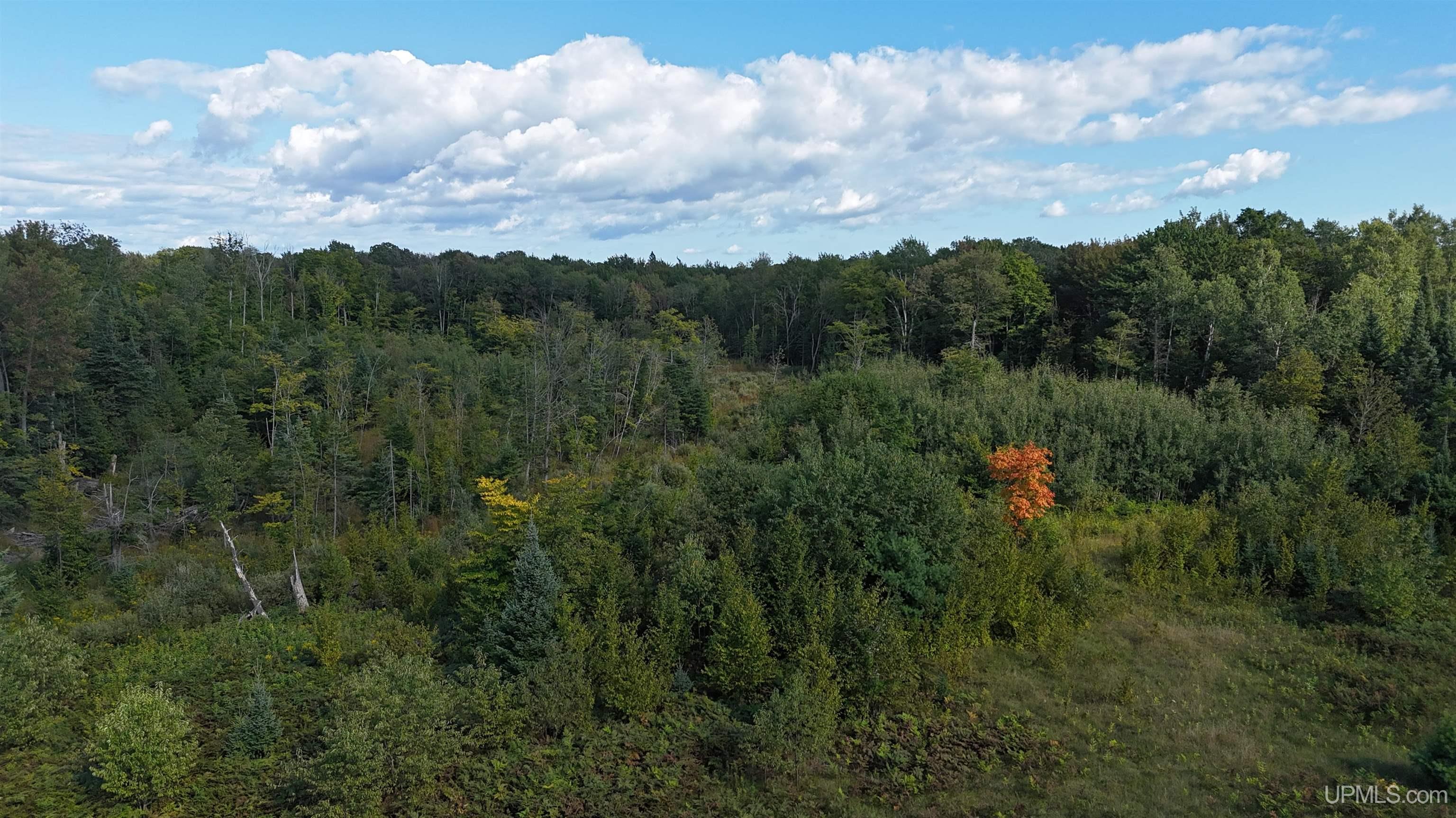 Tbd West Ford Lake Road Germfask, MI 49836 - Photo 19 of 22 Gallery Image 19