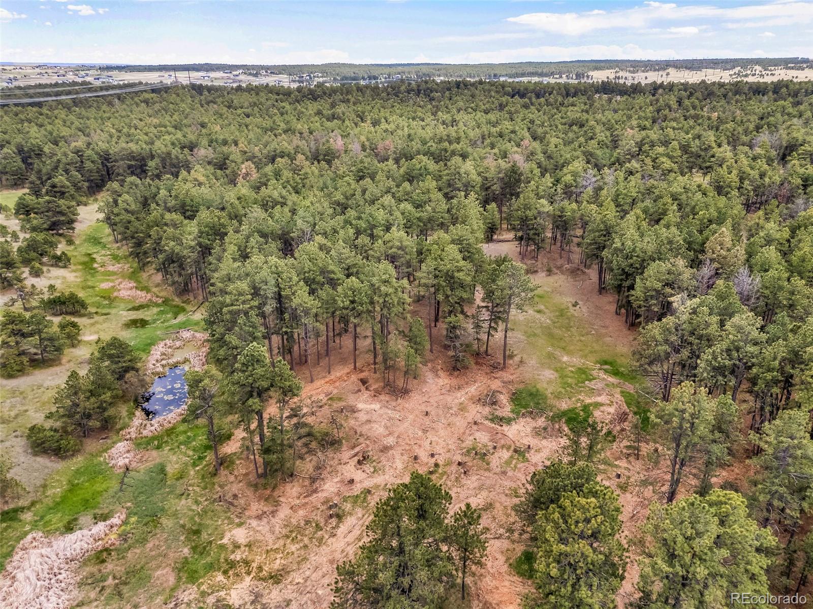 10655 Hardy Road Colorado Springs, CO 80908 - Photo 26 of 32
