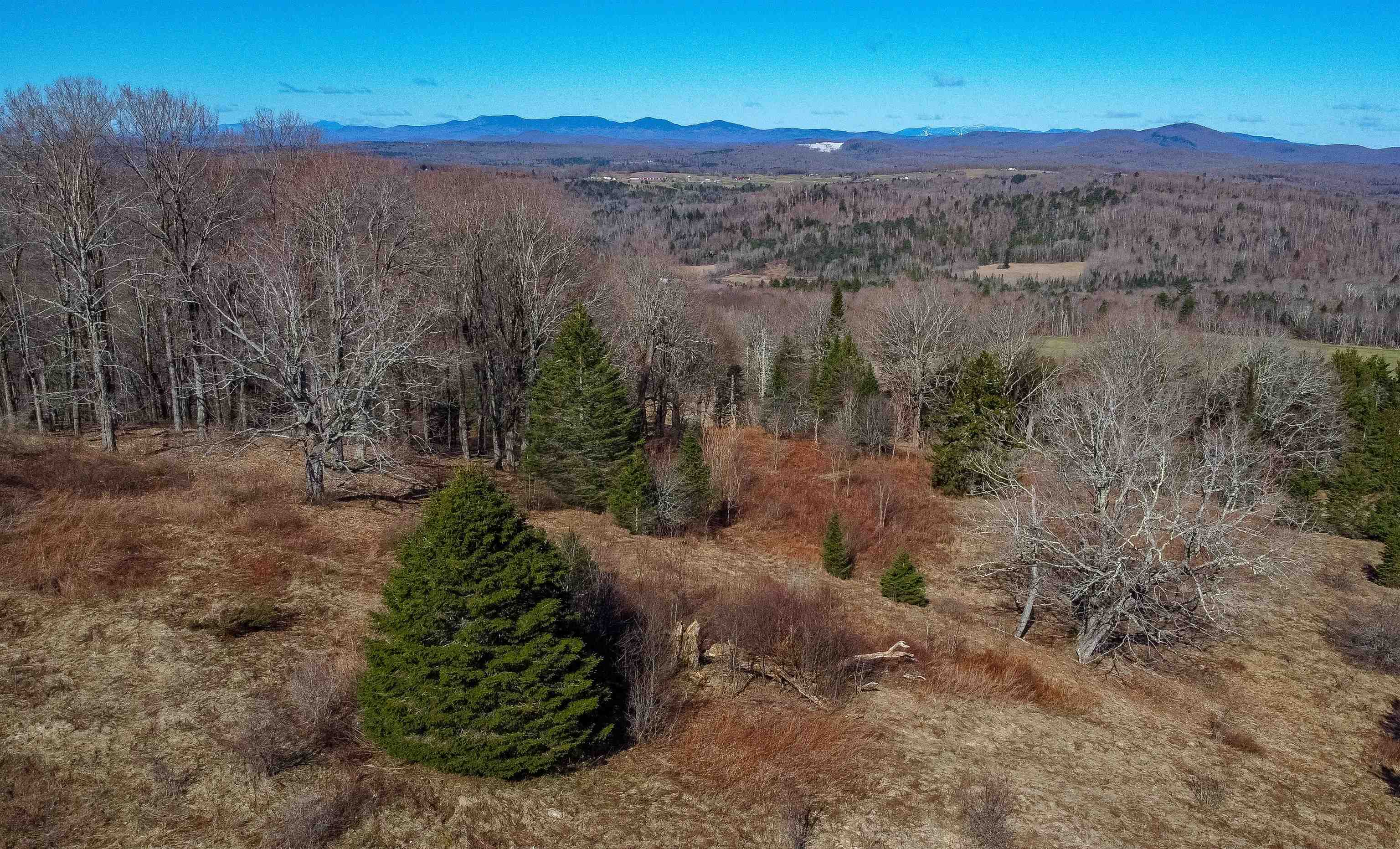 601 Cabot Plains Road Cabot, VT 05647 - Photo 4 of 26