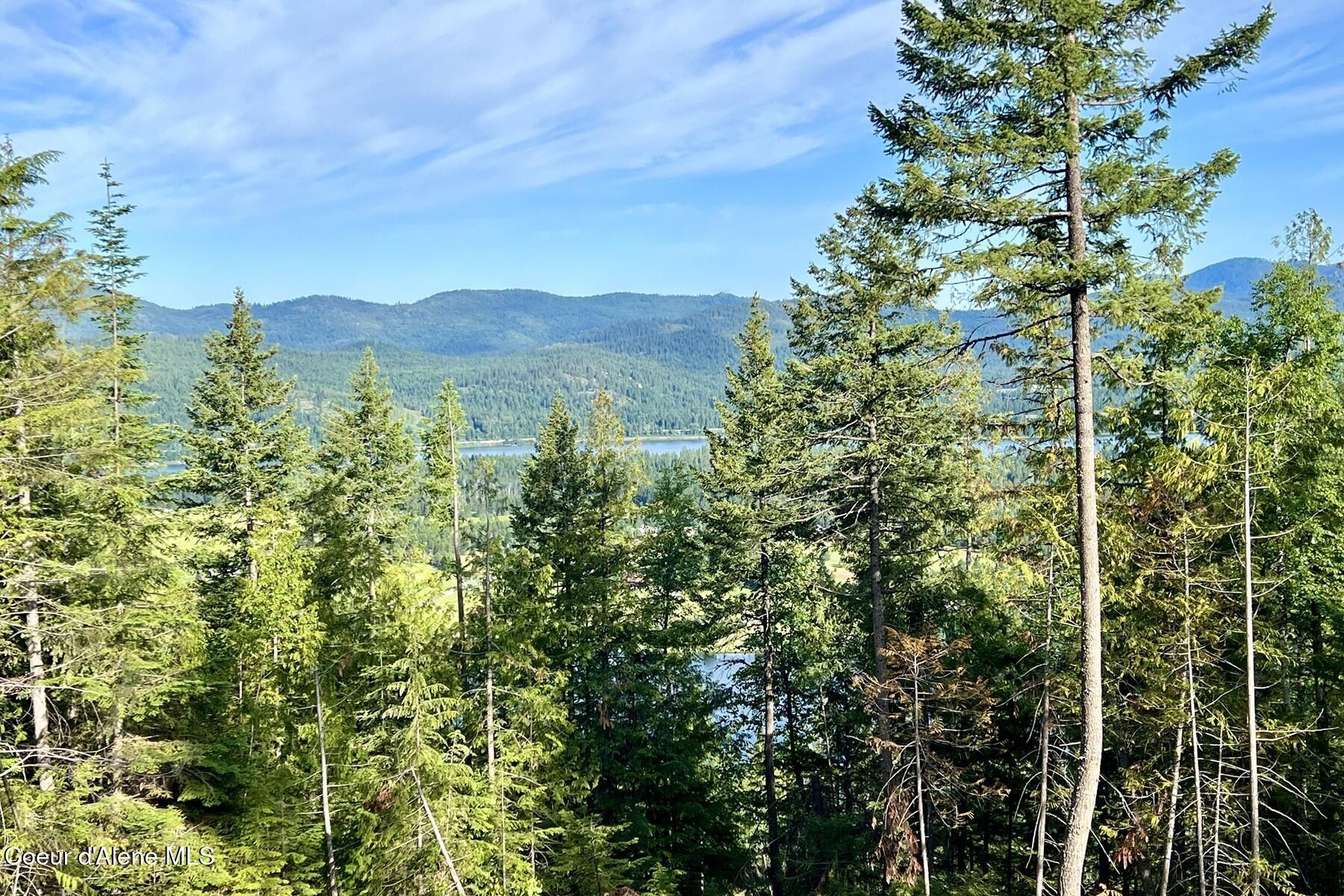 Nna Lot 8 Nna Ridge Sagle, ID 83860 - Photo 13 of 27 LUSH GREEN FOREST