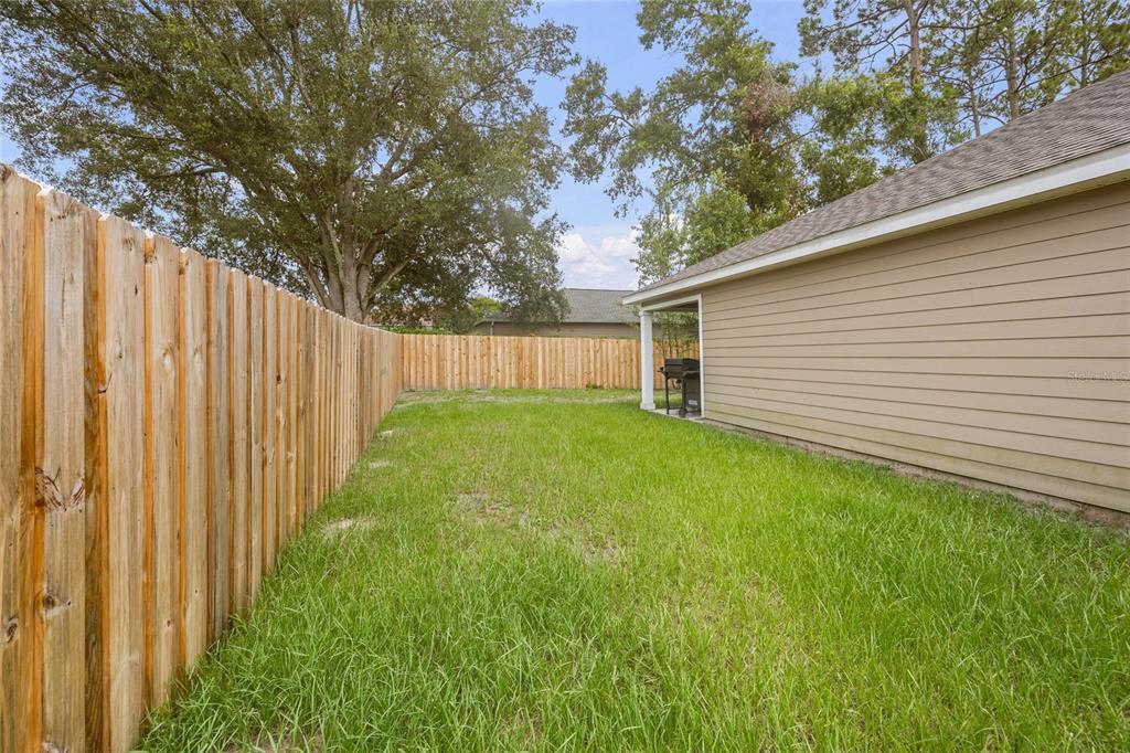 20105 Northwest 247th Street High Springs, FL 32643 - Photo 23 of 26 a view of backyard with potted plants and large tree