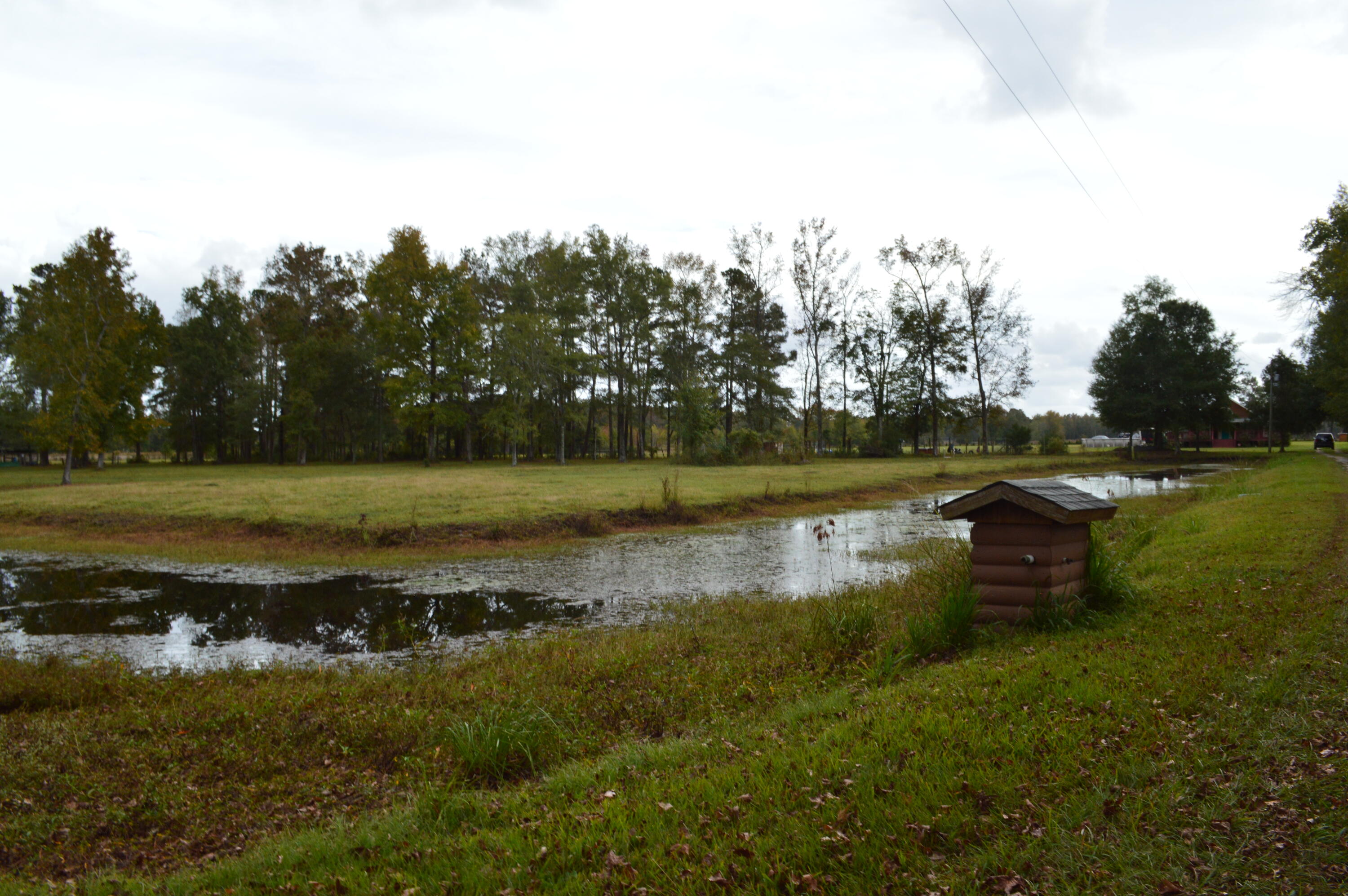 114 Van L Road Kingstree, SC 29556 - Photo 42 of 201 DSC_0093