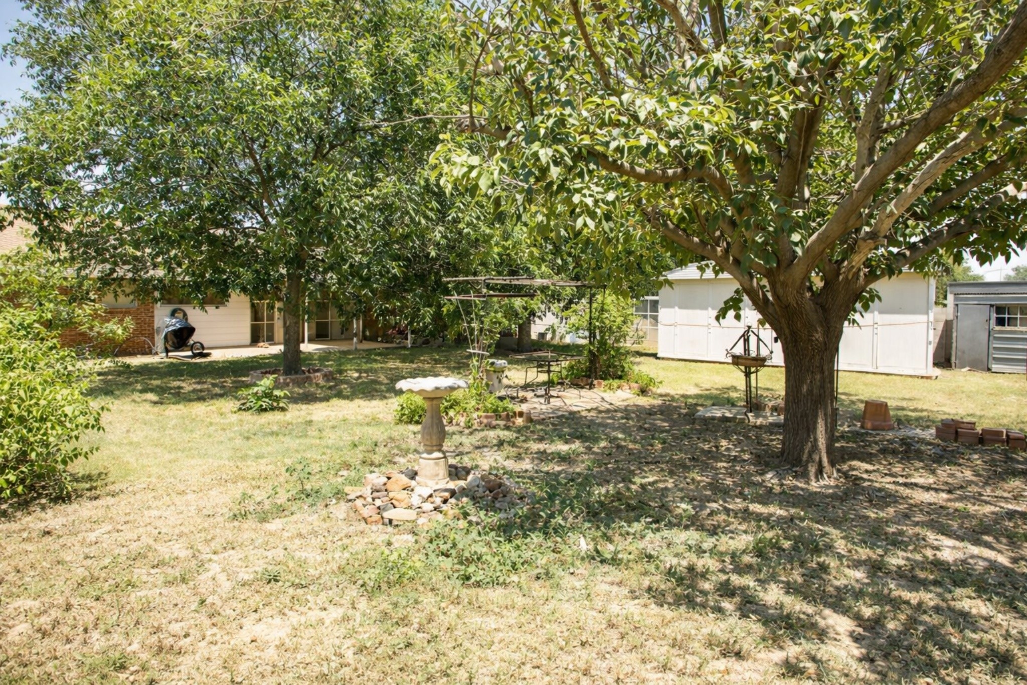 2709 Rebecca Drive Big Spring, TX 79720 - Photo 15 of 16 a view of a yard with plants and trees
