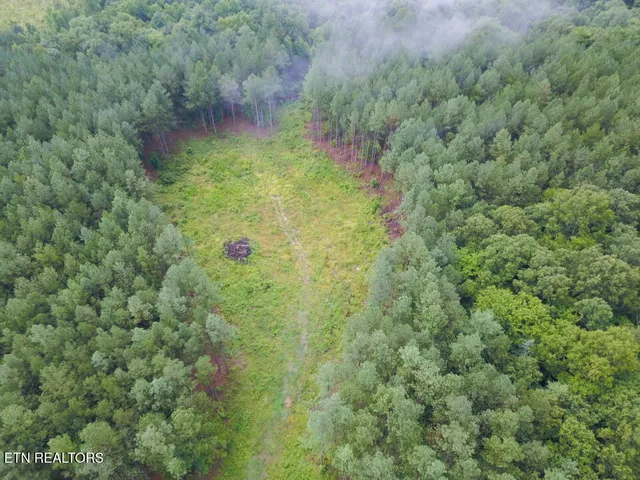 $144,000 | 59 Union Hill Road, Sunbright, TN 37872