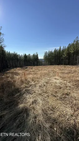 $144,000 | 59 Union Hill Road, Sunbright, TN 37872