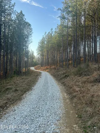 $144,000 | 59 Union Hill Road, Sunbright, TN 37872