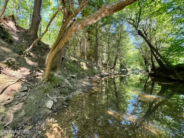 $144,000 | 59 Union Hill Road, Sunbright, TN 37872