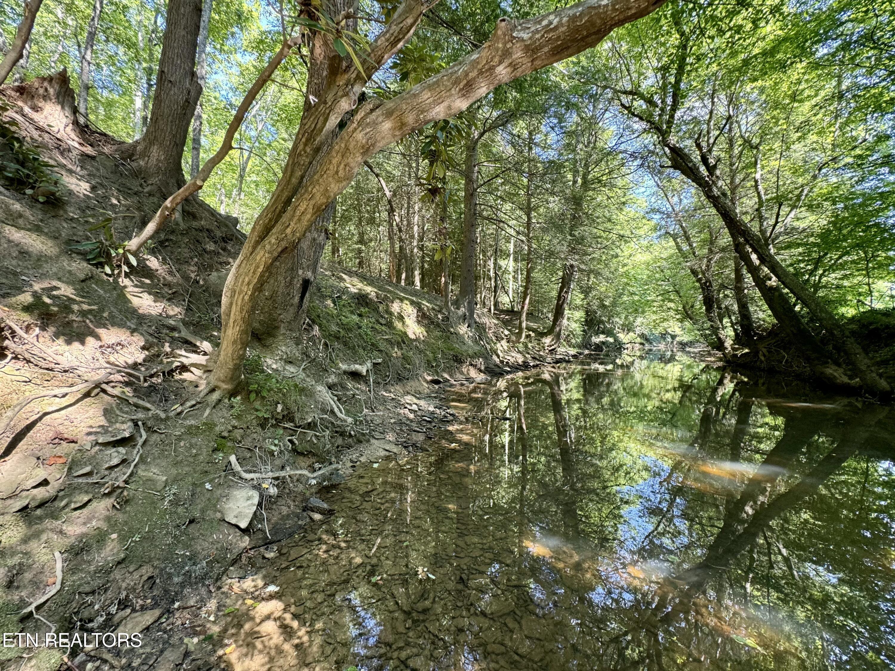 59 Union Hill Road Sunbright, TN 37872 - Photo 4 of 8 IMG_0538