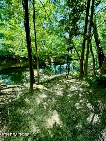 $144,000 | 59 Union Hill Road, Sunbright, TN 37872