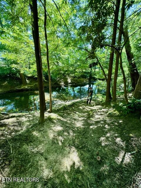 59 Union Hill Road Sunbright, TN 37872 - Photo 5 of 8 IMG_0531