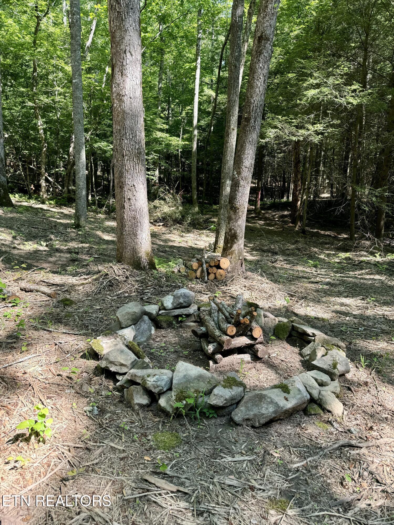 59 Union Hill Road Sunbright, TN 37872 - Photo 6 of 11 IMG_0529