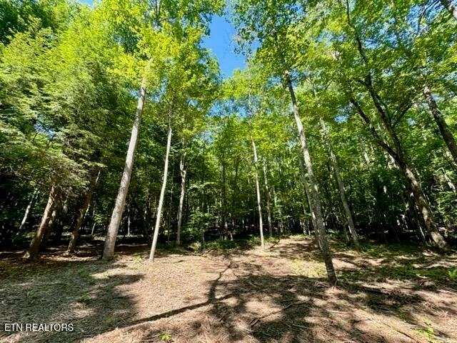 $144,000 | 59 Union Hill Road, Sunbright, TN 37872