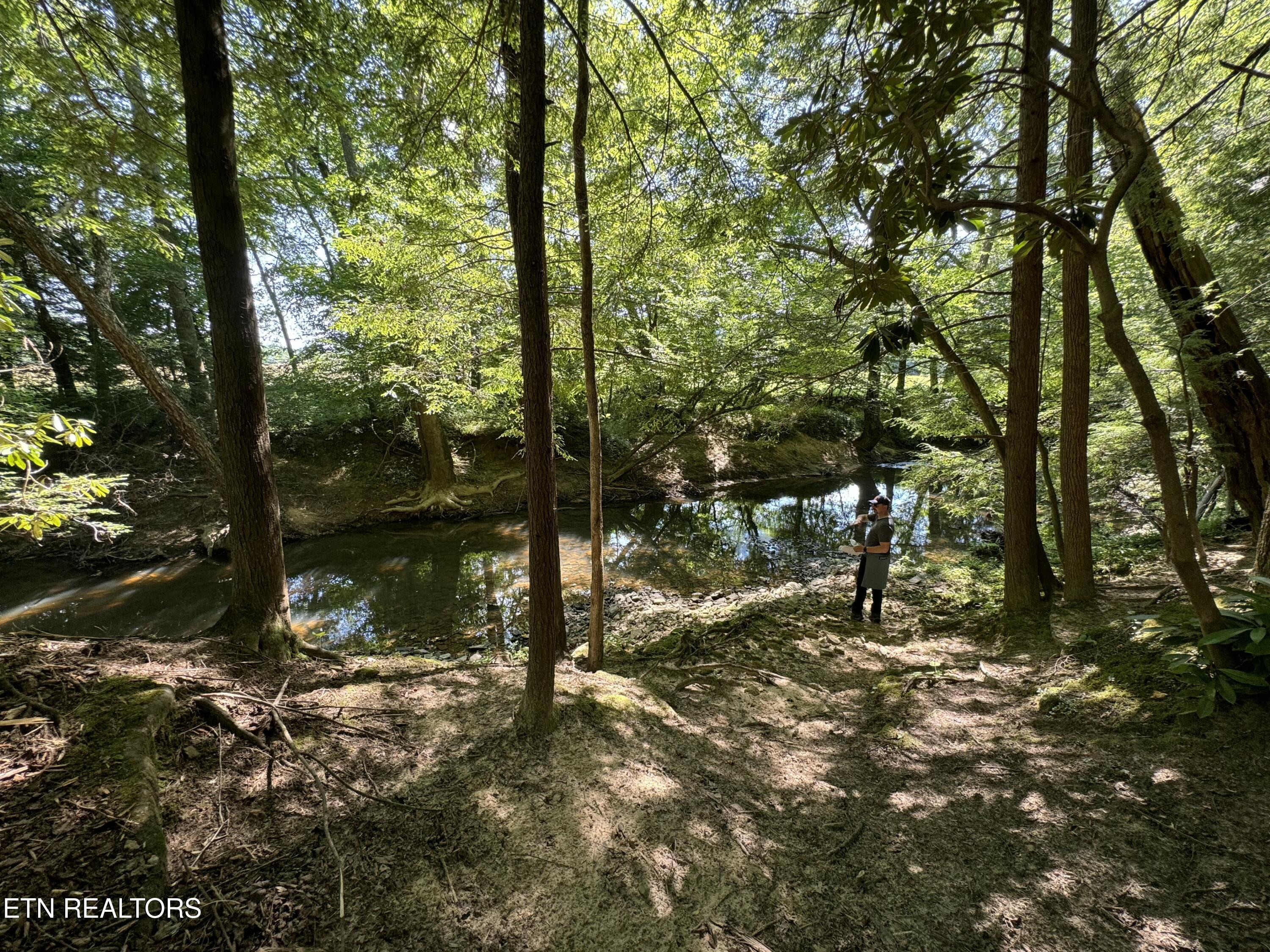 59 Union Hill Road Sunbright, TN 37872 - Photo 7 of 8 IMG_0532