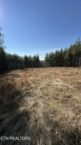 $144,000 | 59 Union Hill Road, Sunbright, TN 37872