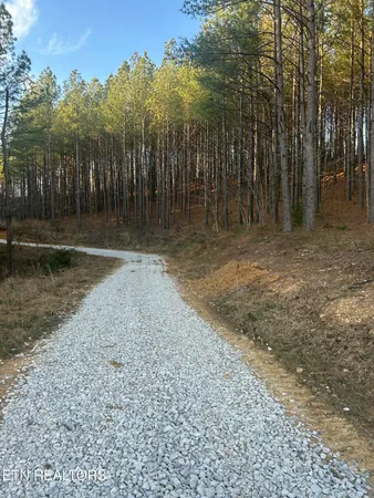 $144,000 | 59 Union Hill Road, Sunbright, TN 37872