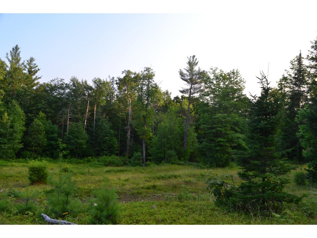 207 Old Rumney Road Rumney, NH 03266 - Photo 17 of 30