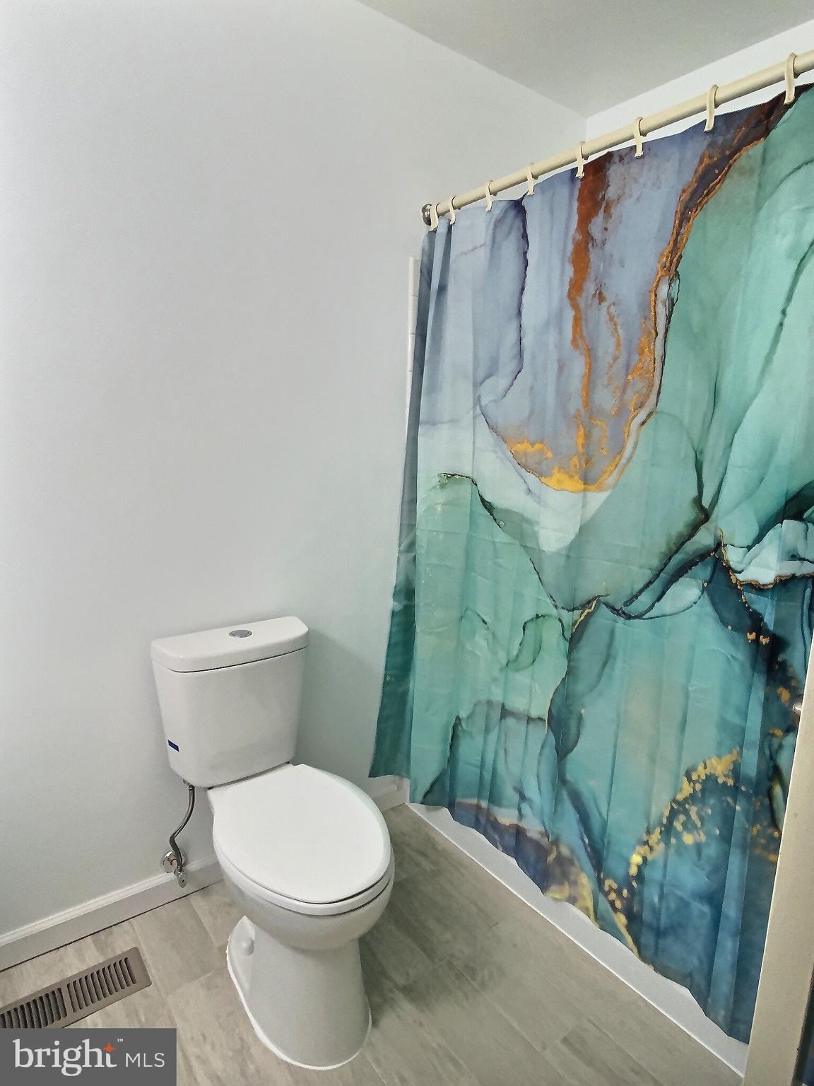 6570 Cornell Road Bryans Road, MD 20616 - Photo 6 of 19 Hallway bathroom