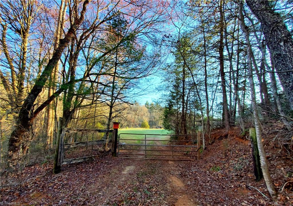 1373 Fisher Valley Road Dobson, NC 27017 - Photo 1 of 44 Gallery Image 1