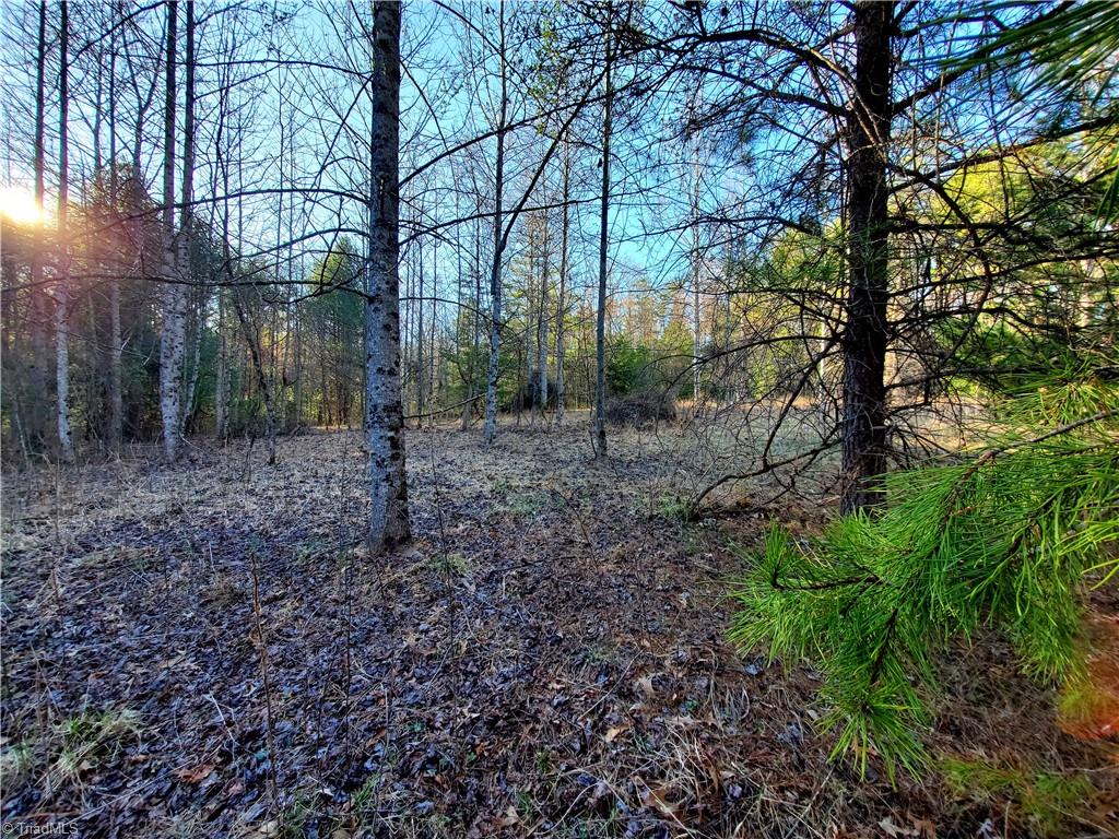 1373 Fisher Valley Road Dobson, NC 27017 - Photo 15 of 44 Gallery Image 15
