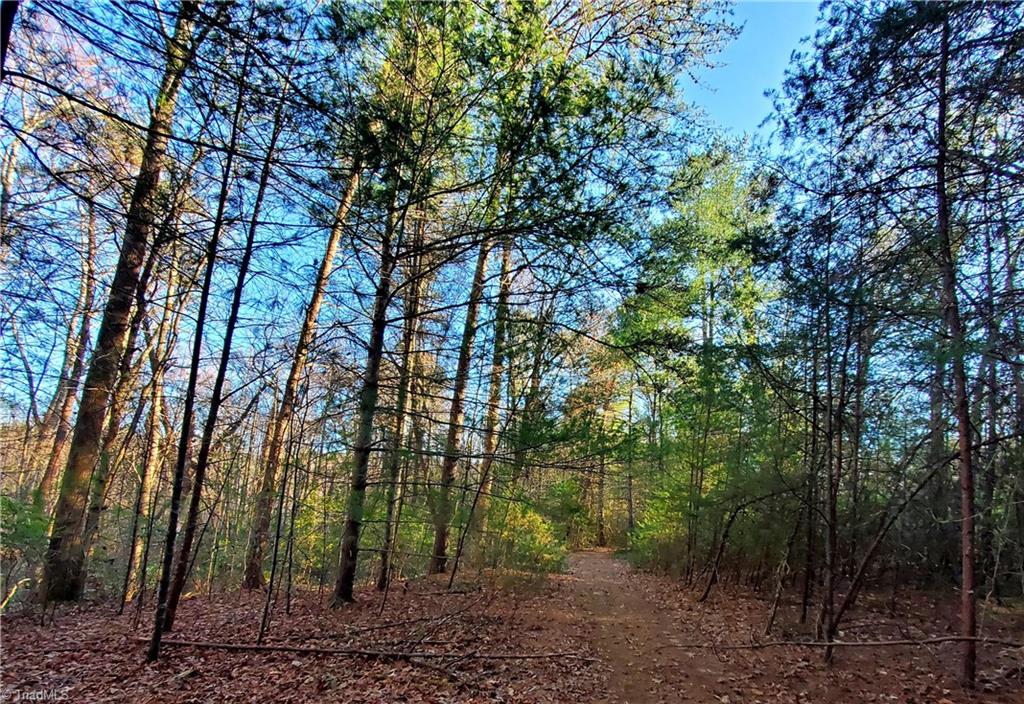 1373 Fisher Valley Road Dobson, NC 27017 - Photo 17 of 44 Gallery Image 17